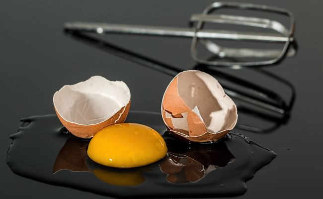 Egg Yolk