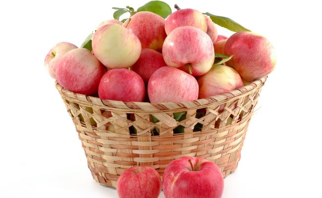 Fruits