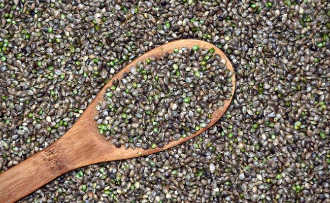 Hemp Seed