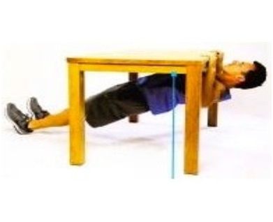 Inverted Row exercise