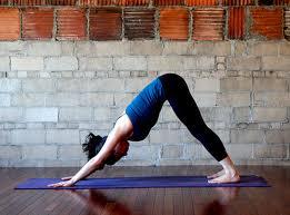 downward facing dog